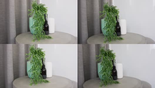 室内植物在边桌上-家庭装饰高清在线视频素材下载