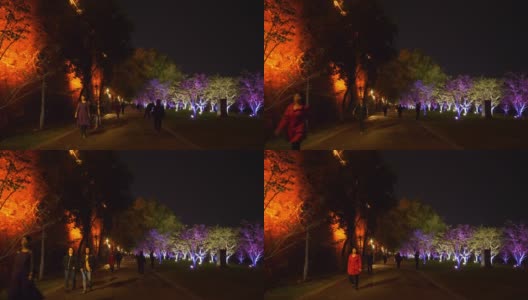 南京城市夜景时间照明著名的湖滨拥挤的公园道路全景4k中国高清在线视频素材下载