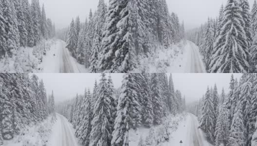 冬季空中旅行在积雪覆盖的松树林地。在山上滑雪度假。高清在线视频素材下载