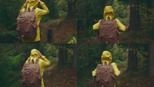 慢镜头，女性在秋天的森林远足。大胆的女人在黄色户外穿着背包徒步在trail和平的绿色森林与跟踪镜头从后面高清在线视频素材下载