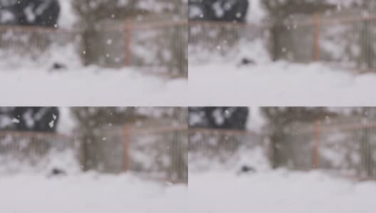 HD SUPER SLOW-MO: Snowfall高清在线视频素材下载