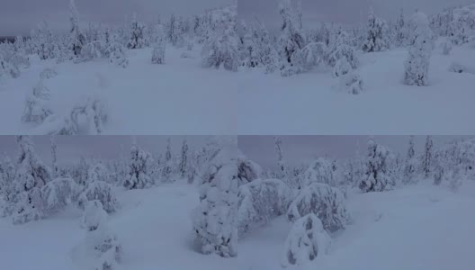 芬兰拉普兰航空镜头-大雪森林高清在线视频素材下载