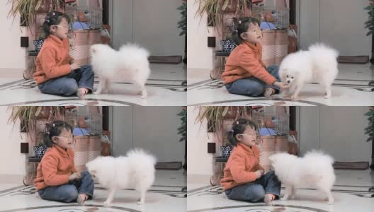 女孩和她的白色小狗高清在线视频素材下载