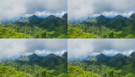 热带雨林，云雾缭绕高清在线视频素材下载
