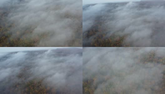 高空鸟瞰图，在雾飞的森林上空。雾云低低地飞在秋天的森林上。高清在线视频素材下载