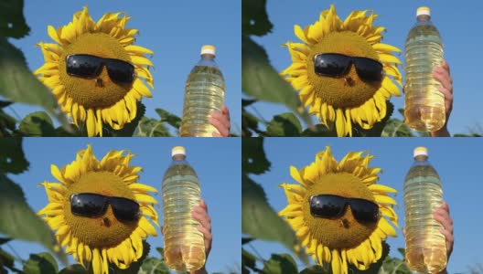 向日葵戴着帽子和太阳镜，一瓶油在蓝天的背景上。高清在线视频素材下载