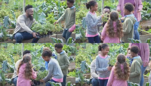 大人带着孩子，在社区花园种植高清在线视频素材下载