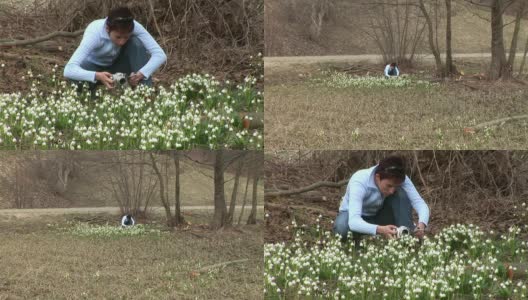 高清:拍摄春天的花朵高清在线视频素材下载
