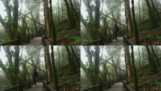 在雨林中徒步旅行的年轻女子，4K(超高清)高清在线视频素材下载