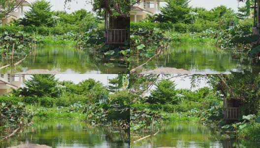 从泰国曼谷的Khlong Lat Mayom市场的长尾船观光高清在线视频素材下载