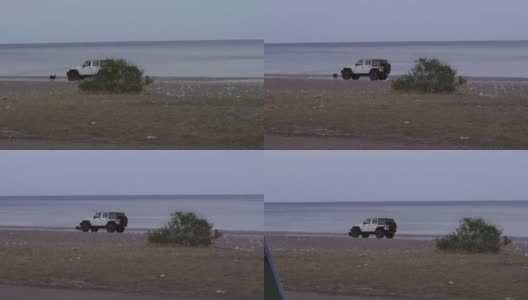 人们开着越野车在沙滩上追着他们的狗跑。高清在线视频素材下载