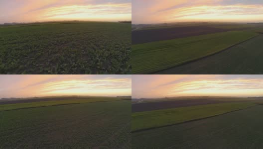 高清:空中拍摄的田野在日出高清在线视频素材下载
