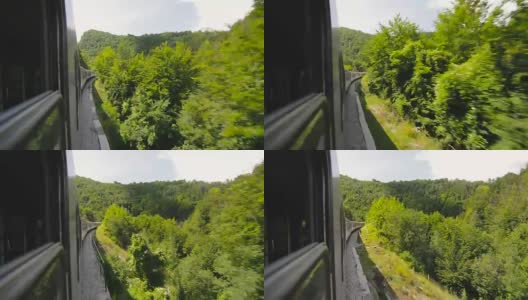 从火车上拍摄的树木高清在线视频素材下载