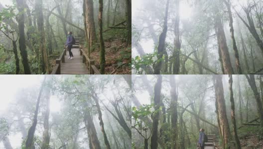 4K:在雨林自然步道中徒步的女性，4K(超高清)高清在线视频素材下载