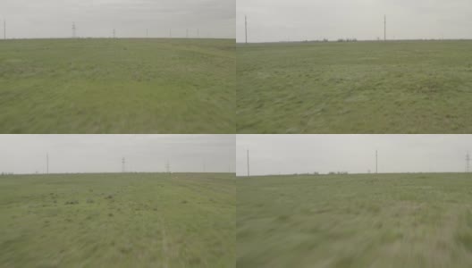 在春天的田野上飞翔。鸟瞰图的新鲜小麦幼苗在田间。4K, 10bit, DJI DLog-M配置文件高清在线视频素材下载