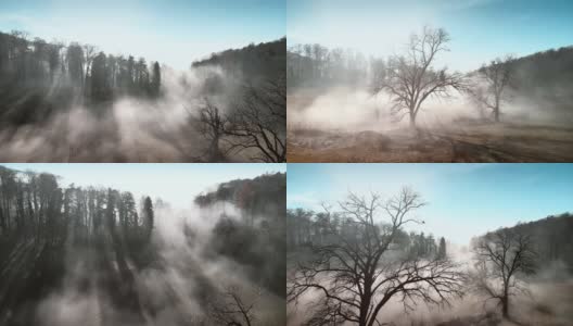 戏剧性的雾蒙蒙的冬季景观高清在线视频素材下载