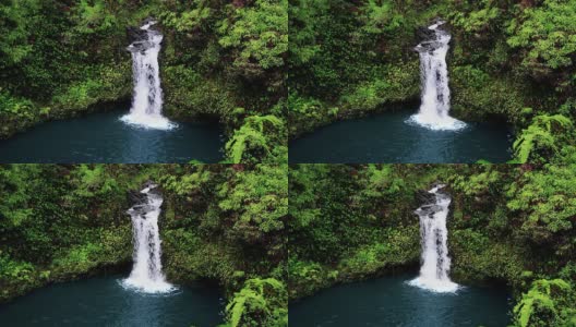 Maui Waterfall高清在线视频素材下载