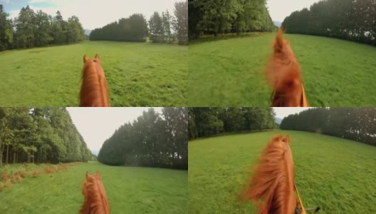 POV骑着一匹奔跑的马穿过草地高清在线视频素材下载