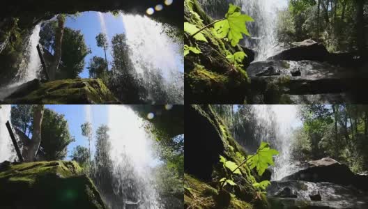 雨林瀑布高清在线视频素材下载