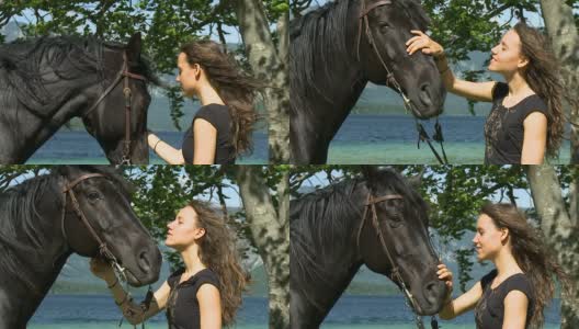 高清慢镜头:年轻女子抚摸着马高清在线视频素材下载