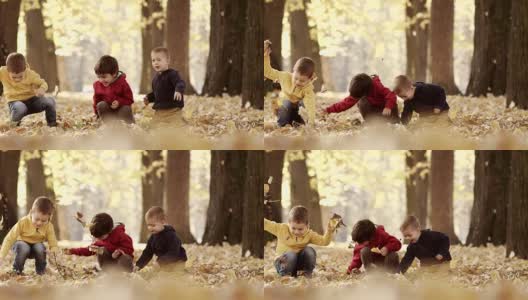 三个孩子在玩秋叶高清在线视频素材下载