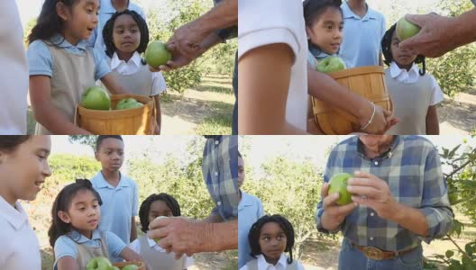 果农在苹果园实地考察中与不同的私立学校小学生交谈高清在线视频素材下载