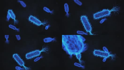 大肠杆菌蓝色医学背景高清在线视频素材下载