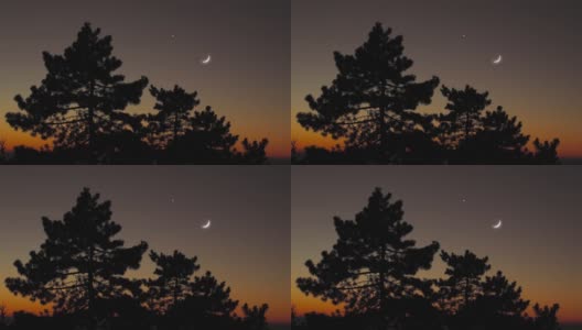 树木的轮廓，星星和月亮在鲜艳的天空中。高清在线视频素材下载