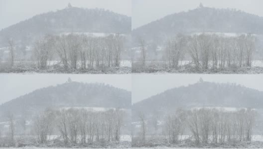 德国奥登瓦尔德的暴风雪高清在线视频素材下载