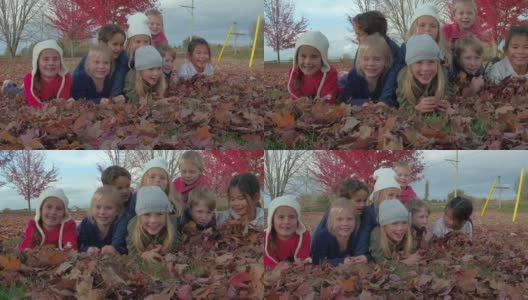 叶子里的孩子高清在线视频素材下载