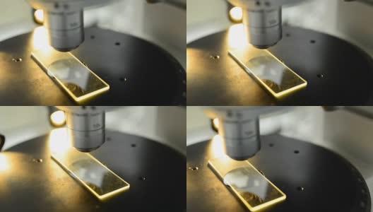 微平移:橘色光线下的显微镜幻灯片高清在线视频素材下载