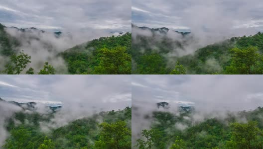 热带雨林季风雨季。间隔拍摄视频高清在线视频素材下载