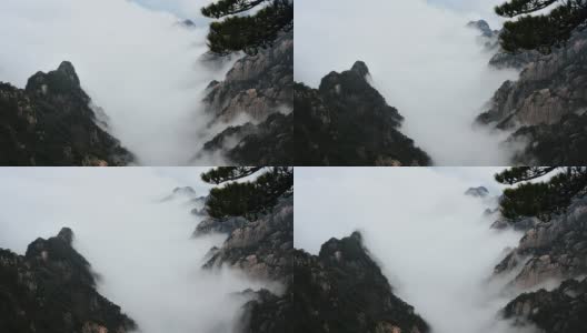 黄山峡谷云海高清在线视频素材下载