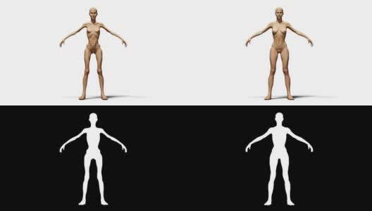 4K女人从瘦到正常变形的过程动画。用哑光隔离高清在线视频素材下载