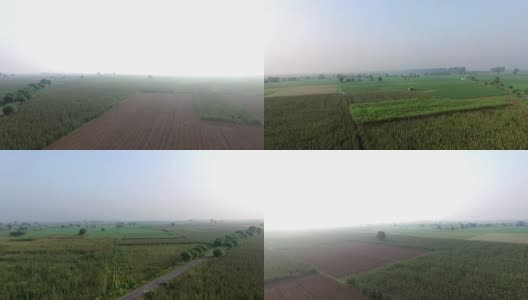 农业用地360度视野高清在线视频素材下载