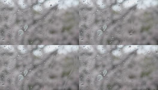 下雨天，通过玻璃拍摄的雨滴和樱花花瓣的4K视频高清在线视频素材下载