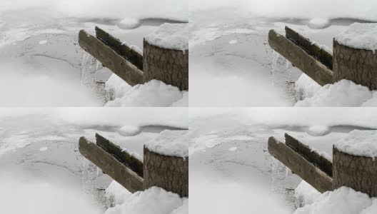 木槽在雪2高清在线视频素材下载