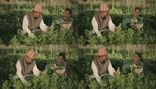 快乐的尼泊尔农民夫妇在他们的农场。高清在线视频素材下载