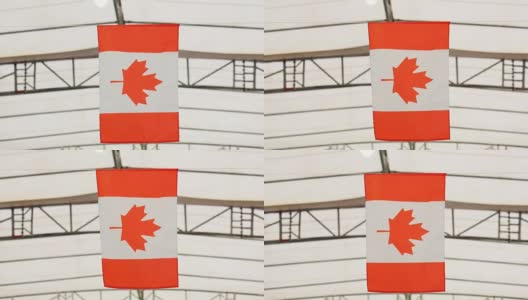 加拿大的国旗高清在线视频素材下载