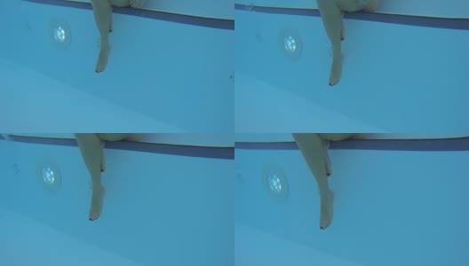 水下摄影机接近坐在游泳池台阶上的女孩的下半身高清在线视频素材下载