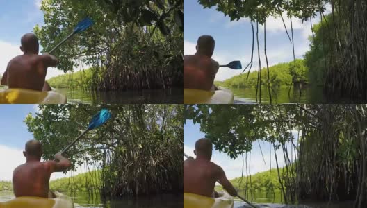 皮划艇上的人从灌木丛和芦苇中划出来高清在线视频素材下载