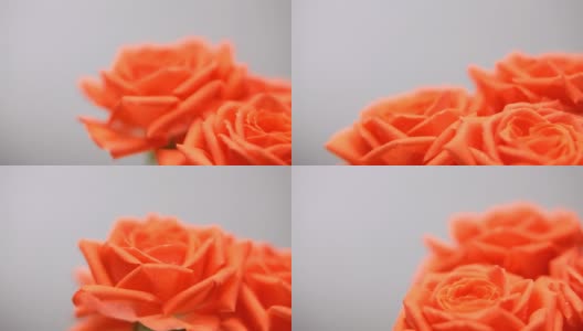 粉色的玫瑰花朵高清在线视频素材下载