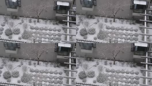 鸟瞰图低层公寓和小树在寒冷的暴风雪雪天高清在线视频素材下载
