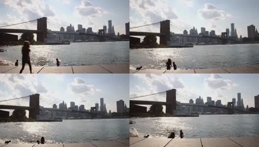 从布鲁克林海滨公园看曼哈顿的天际线高清在线视频素材下载