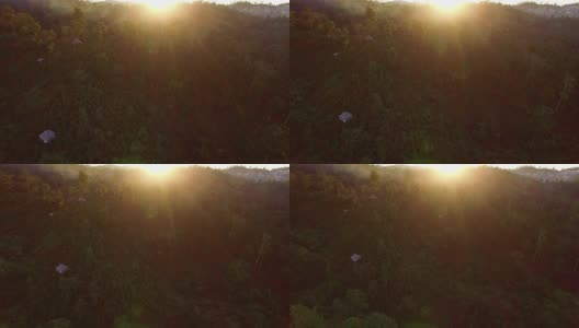 无人机在日落时在中国云南森林飞行的鸟瞰图高清在线视频素材下载