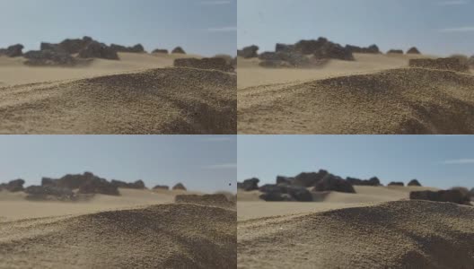 加那利岛富埃特文图拉沙漠风沙的细节高清在线视频素材下载