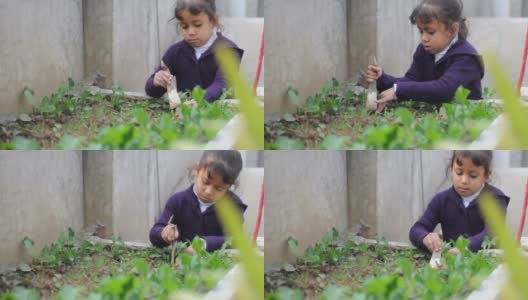 女孩在花园里种菜高清在线视频素材下载