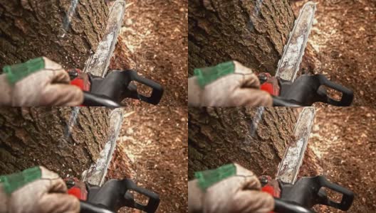 SLO MO POV用电锯砍树高清在线视频素材下载