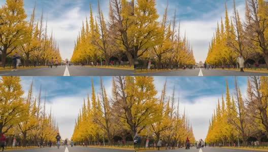 时光流逝:日本东京青山明治神宫花园拥挤的行人高清在线视频素材下载