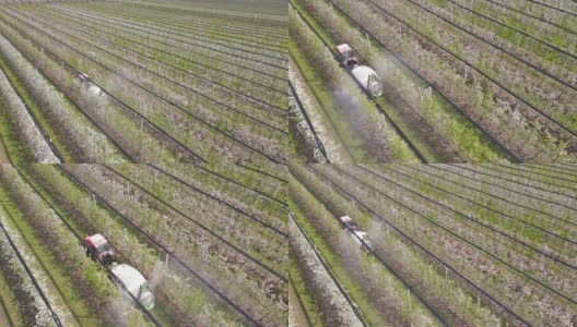 农业机械喷洒开花苹果园鸟瞰图高清在线视频素材下载